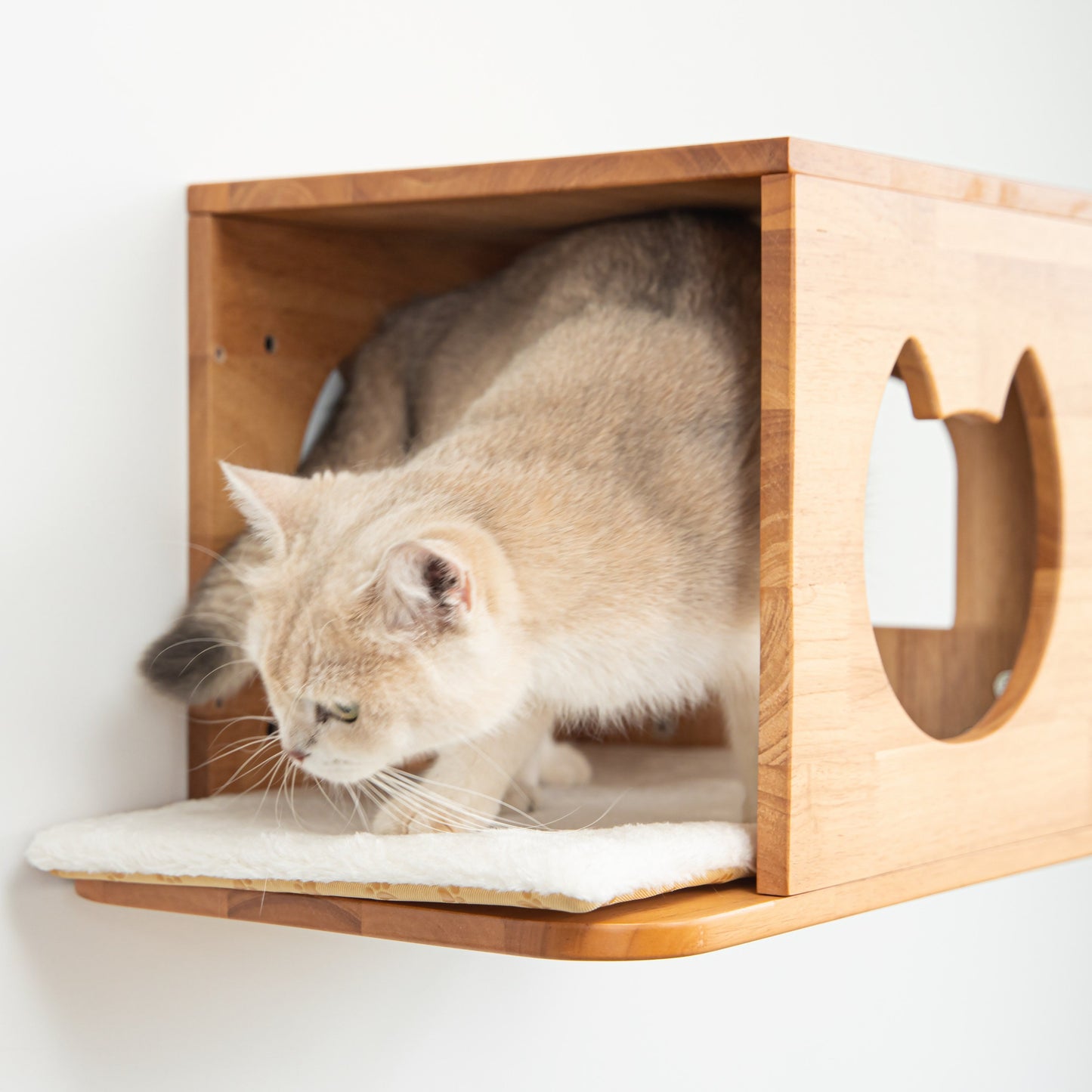 Wall Mounted Cat House for Indoor Cats, Wood Cat Wall Bed Cave with Front Perch, Space-Saving Elevated Hideaway for Napping, Bedrooms & Living Rooms