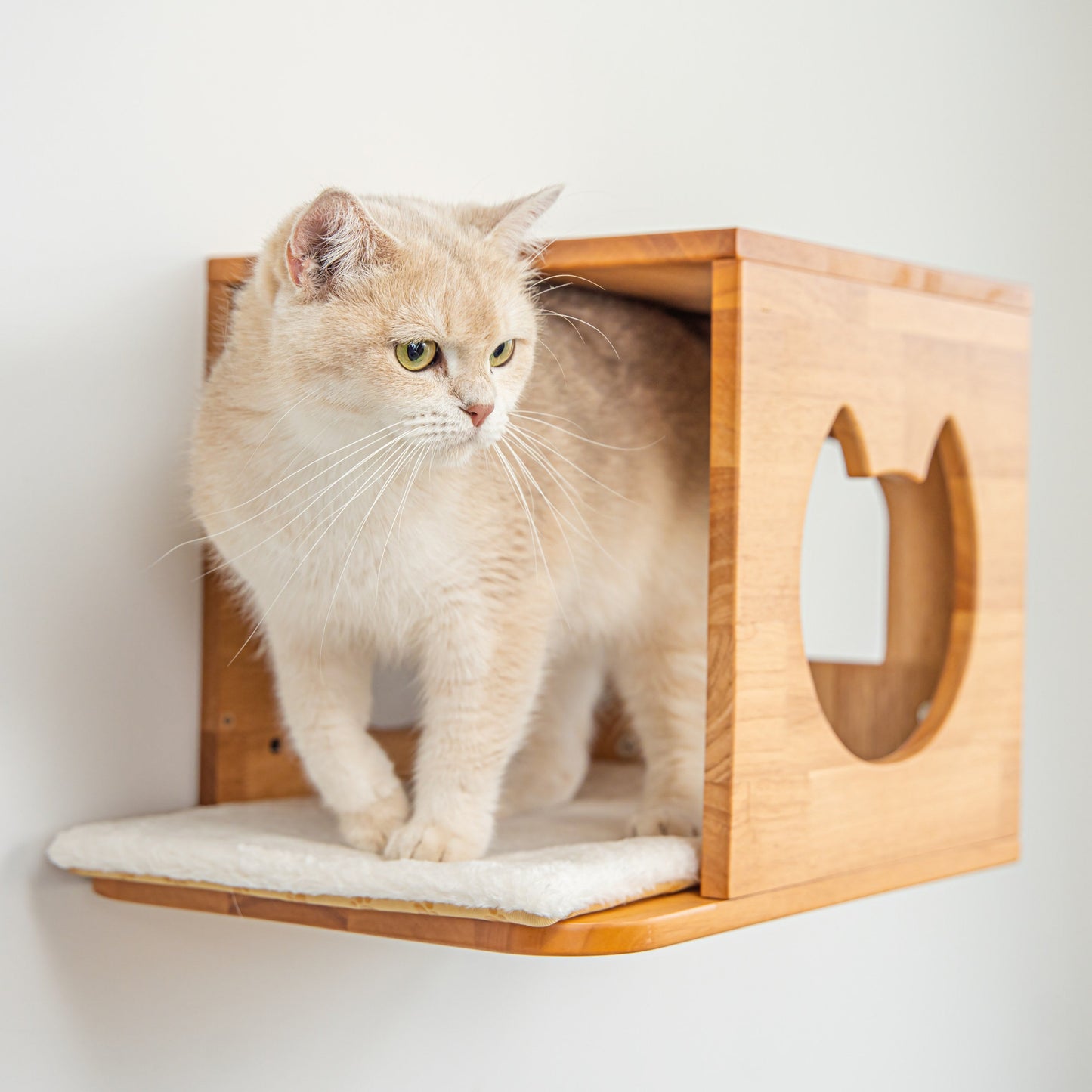 Wall Mounted Cat House for Indoor Cats, Wood Cat Wall Bed Cave with Front Perch, Space-Saving Elevated Hideaway for Napping, Bedrooms & Living Rooms