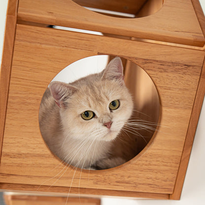 Large Hexagon Cat Wall House for Indoor Cats, Open-Front Wooden Wall Mounted Bed & Cave Perch, Space-Saving Design for Cat Walls & Living Rooms