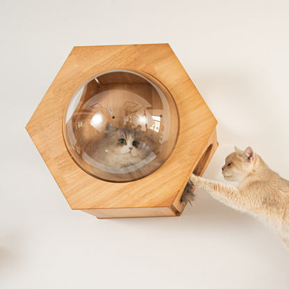 Large Hexagon Cat Wall Bubble House for Indoor Cats, Wooden Wall Mounted Bed with Removable Clear Dome Lookout, for Cat Walls & Living Rooms