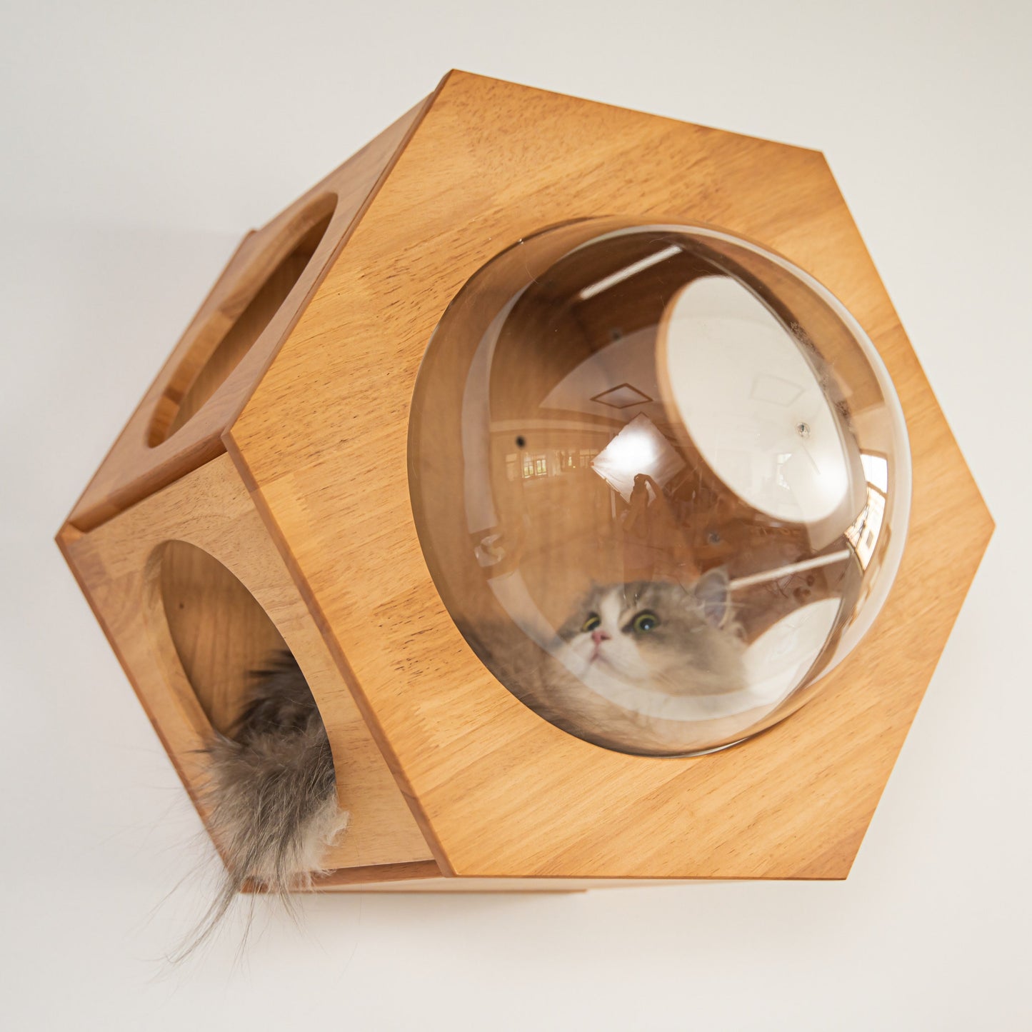 Large Hexagon Cat Wall Bubble House for Indoor Cats, Wooden Wall Mounted Bed with Removable Clear Dome Lookout, for Cat Walls & Living Rooms