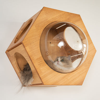 Large Hexagon Cat Wall Bubble House for Indoor Cats, Wooden Wall Mounted Bed with Removable Clear Dome Lookout, for Cat Walls & Living Rooms