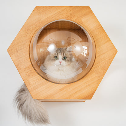 Large Hexagon Cat Wall Bubble House for Indoor Cats, Wooden Wall Mounted Bed with Removable Clear Dome Lookout, for Cat Walls & Living Rooms
