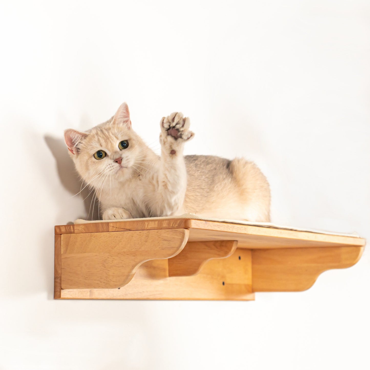 Large Cat Wall Perch for Indoor Cats, Long Rubberwood Floating Shelf Bed for Lounging & Stretching, Pairs with Cat Steps, for Cat Walls & Bedrooms