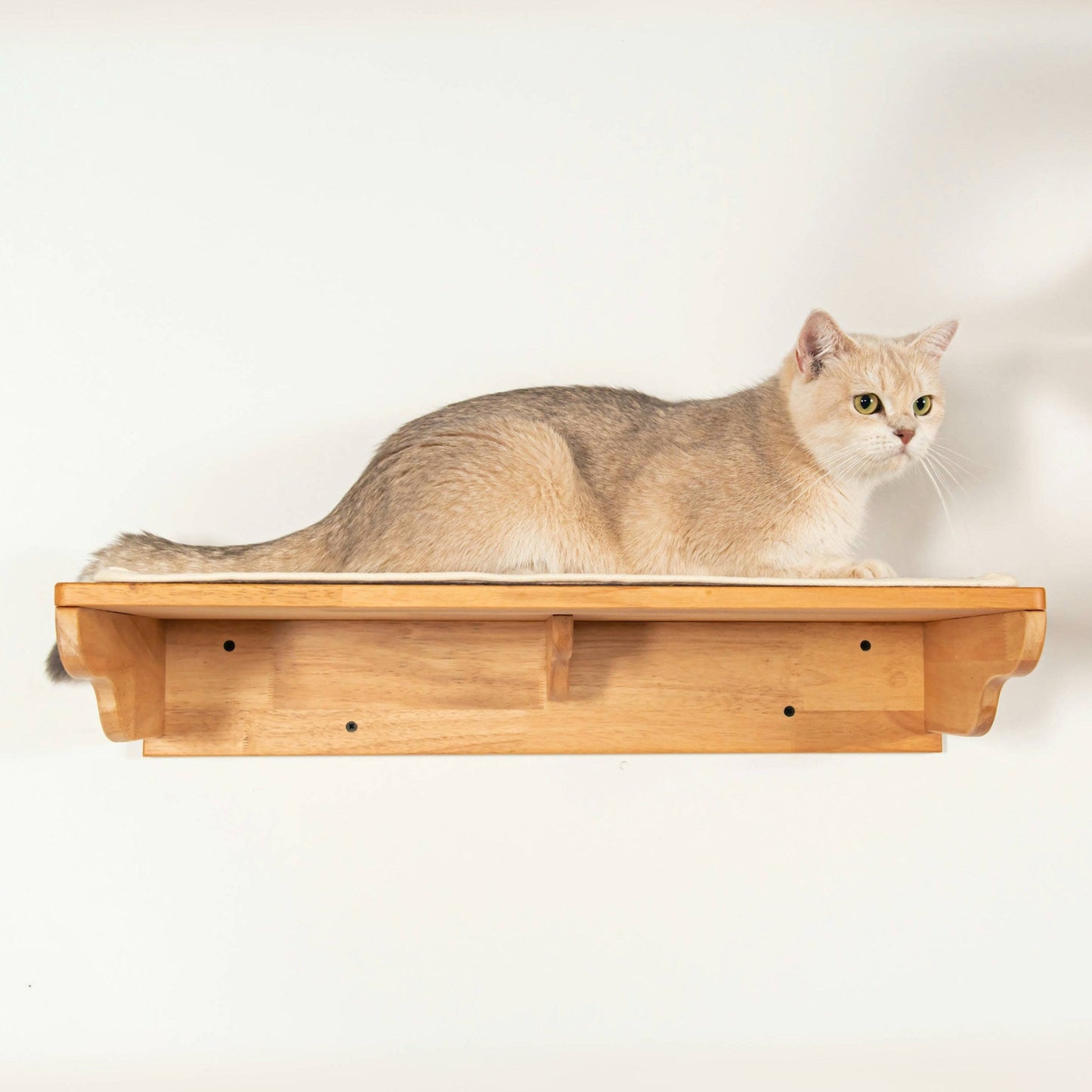 Large Cat Wall Perch for Indoor Cats, Long Rubberwood Floating Shelf Bed for Lounging & Stretching, Pairs with Cat Steps, for Cat Walls & Bedrooms