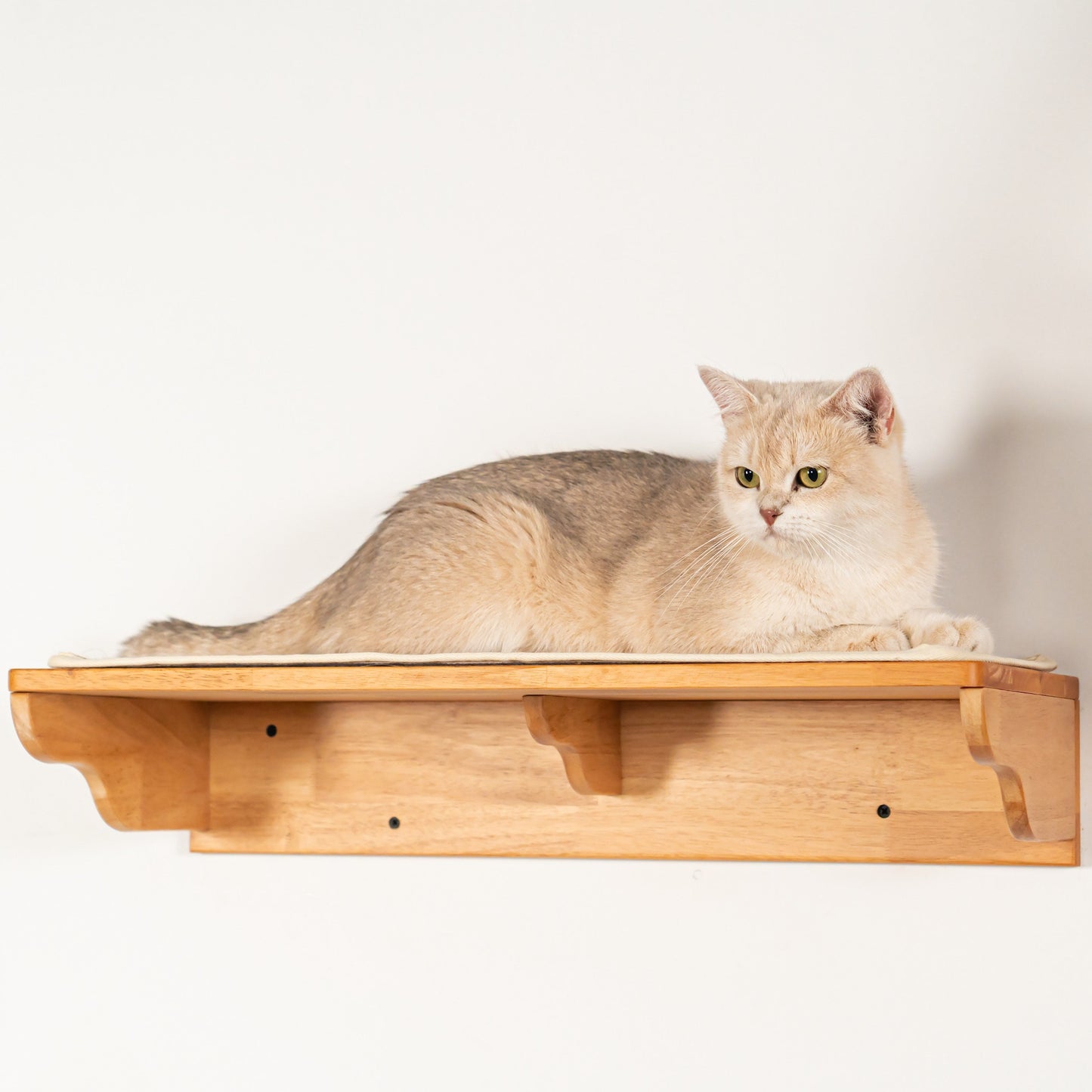 Large Cat Wall Perch for Indoor Cats, Long Rubberwood Floating Shelf Bed for Lounging & Stretching, Pairs with Cat Steps, for Cat Walls & Bedrooms