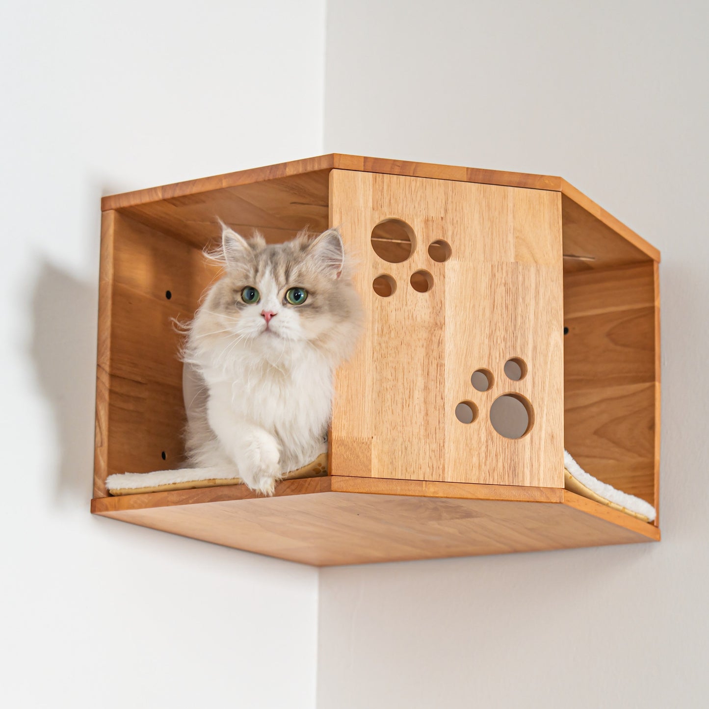 Large Corner Cat Wall House for Indoor Cats, Space-Saving Wall Mounted Rubberwood Bed & Hideaway with Round Entrances, for Bedrooms & Apartments
