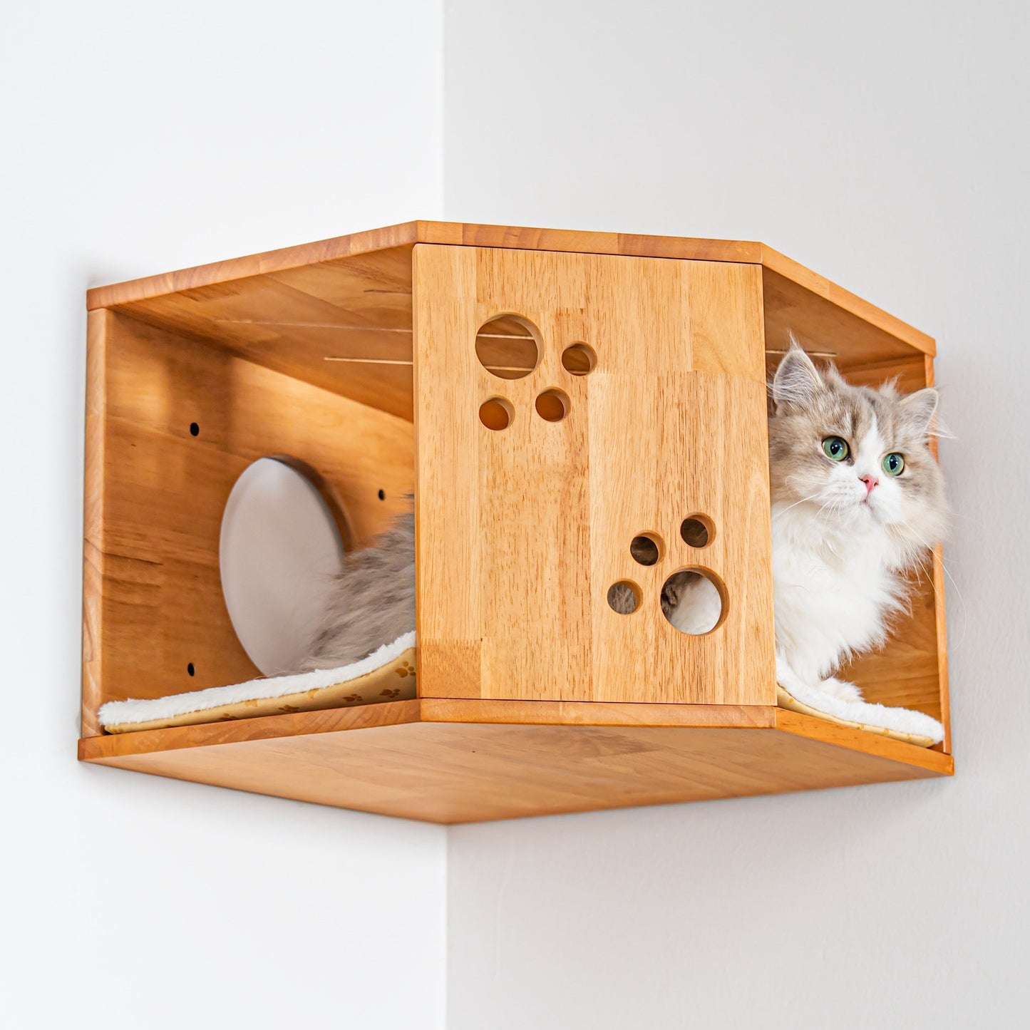 Large Corner Cat Wall House for Indoor Cats, Space-Saving Wall Mounted Rubberwood Bed & Hideaway with Round Entrances, for Bedrooms & Apartments