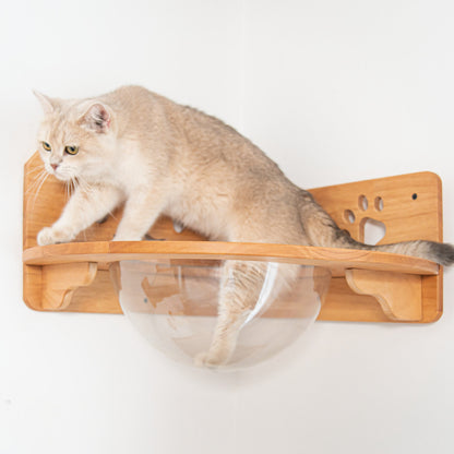 Corner Cat Wall Bubble Perch for Indoor Cats, Clear Lookout Bowl with Rubberwood Frame & Guard Rails, Space-Saving Wall Shelf Bed for Small Rooms