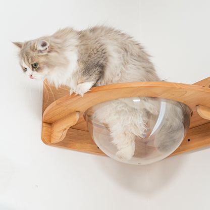Corner Cat Wall Bubble Perch for Indoor Cats, Clear Lookout Bowl with Rubberwood Frame & Guard Rails, Space-Saving Wall Shelf Bed for Small Rooms