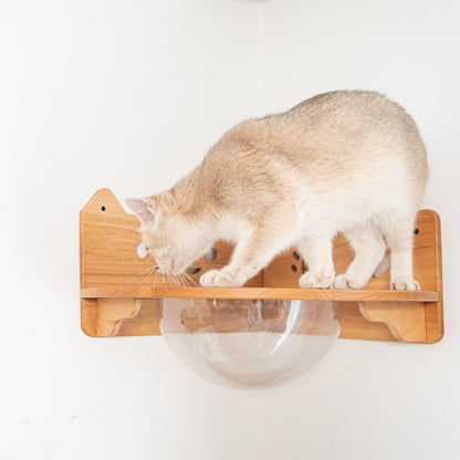 Corner Cat Wall Bubble Perch for Indoor Cats, Clear Lookout Bowl with Rubberwood Frame & Guard Rails, Space-Saving Wall Shelf Bed for Small Rooms