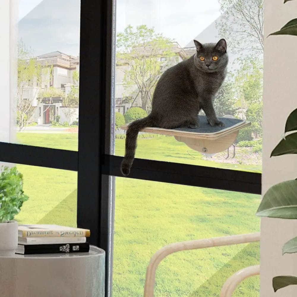 Sturdy Cat Window Perch with Suction Cups for Indoor Cats, Elevated Sunny Seat Hammock Bed, Wall or Window Mount, for Lounging & Bird Watching