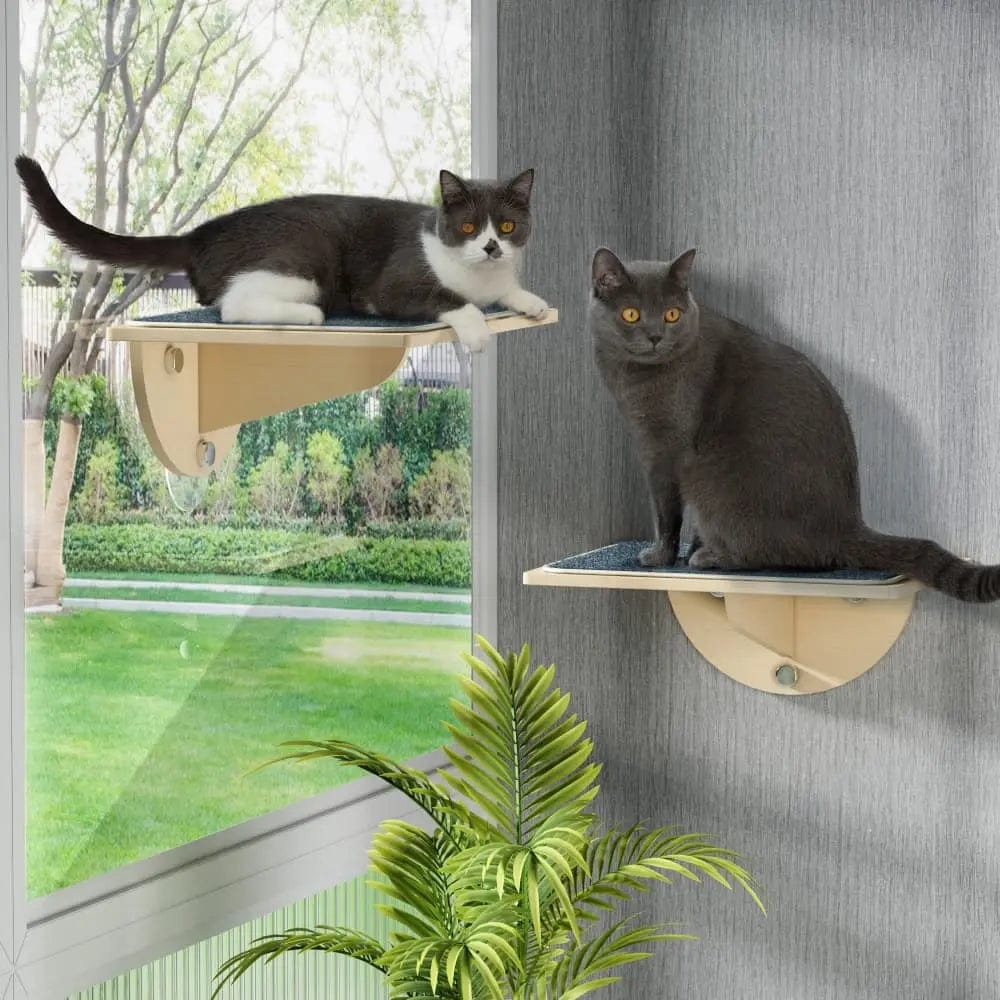 Sturdy Cat Window Perch with Suction Cups for Indoor Cats, Elevated Sunny Seat Hammock Bed, Wall or Window Mount, for Lounging & Bird Watching