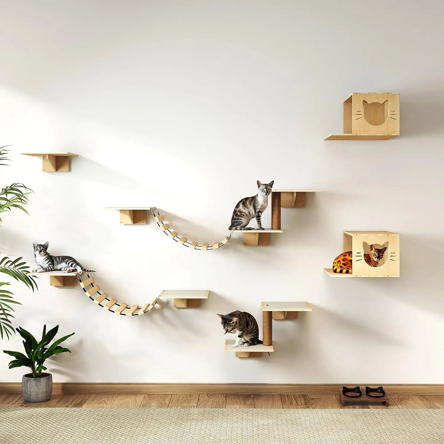 Natural Wooden Wall-Mounted Cat Climbing Set for Active Indoor Cats, Sturdy Vertical Shelves & Platforms, Easy-Install, for Apartments & Cat Rooms