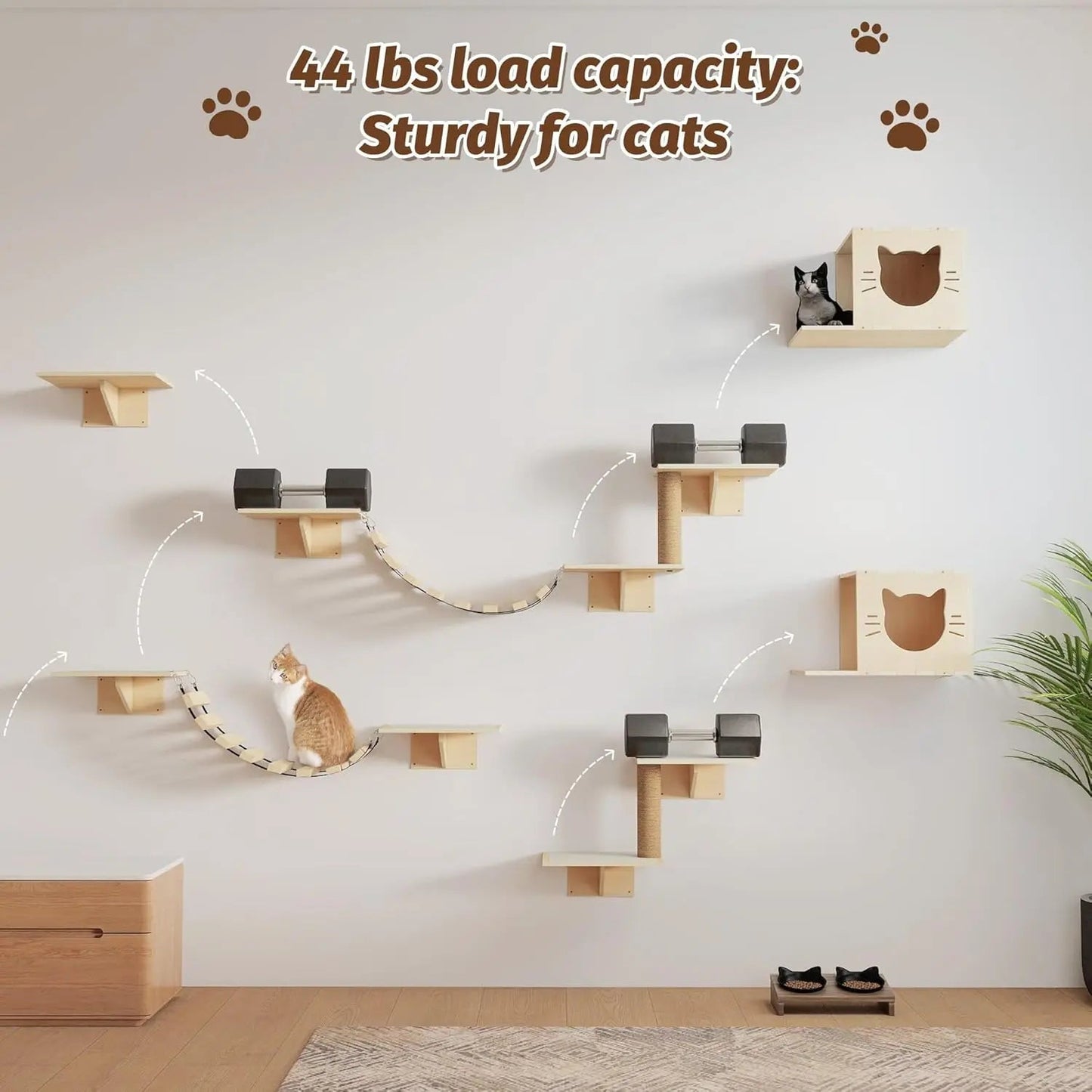 Natural Wooden Wall-Mounted Cat Climbing Set for Active Indoor Cats, Sturdy Vertical Shelves & Platforms, Easy-Install, for Apartments & Cat Rooms