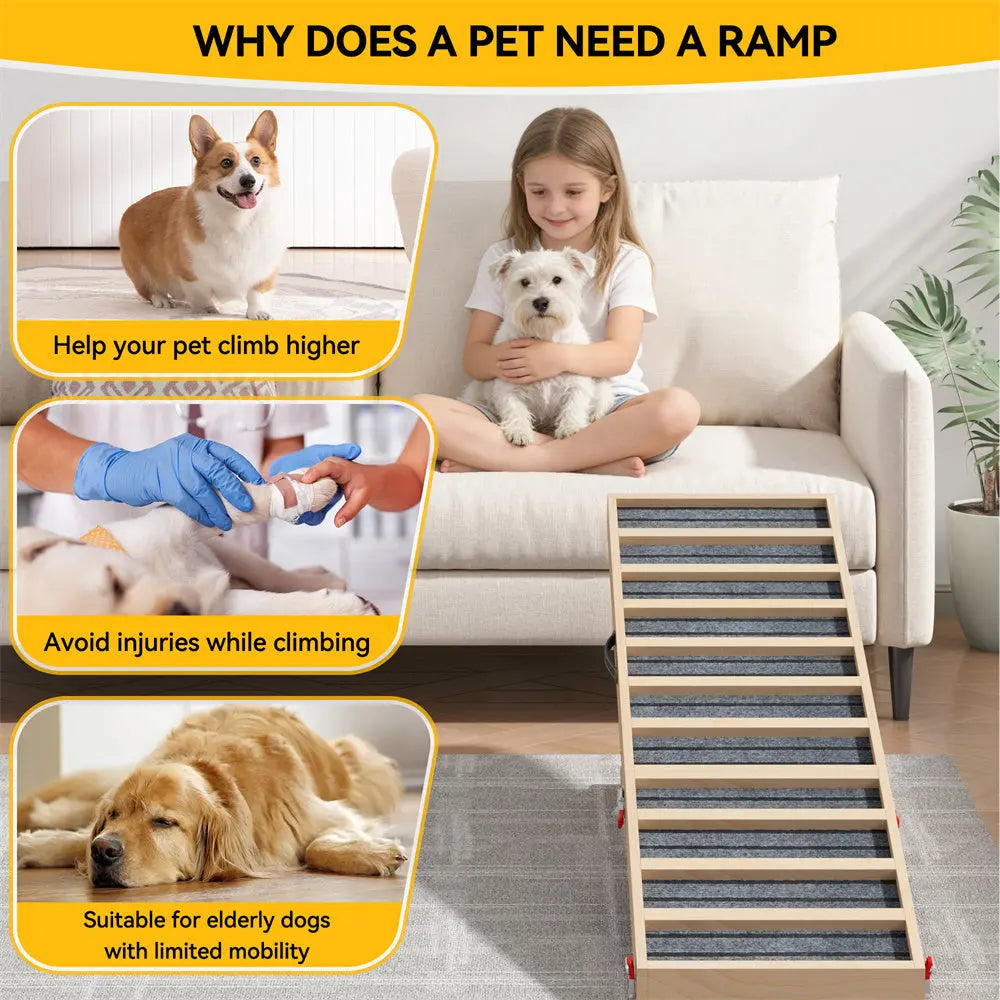 Long Portable Wooden Dog Ramp for Cars, SUVs, Furniture & Porches, 55 Inch Non-Slip Folding Pet Ramp for Small, Large & Senior Dogs, No Assembly