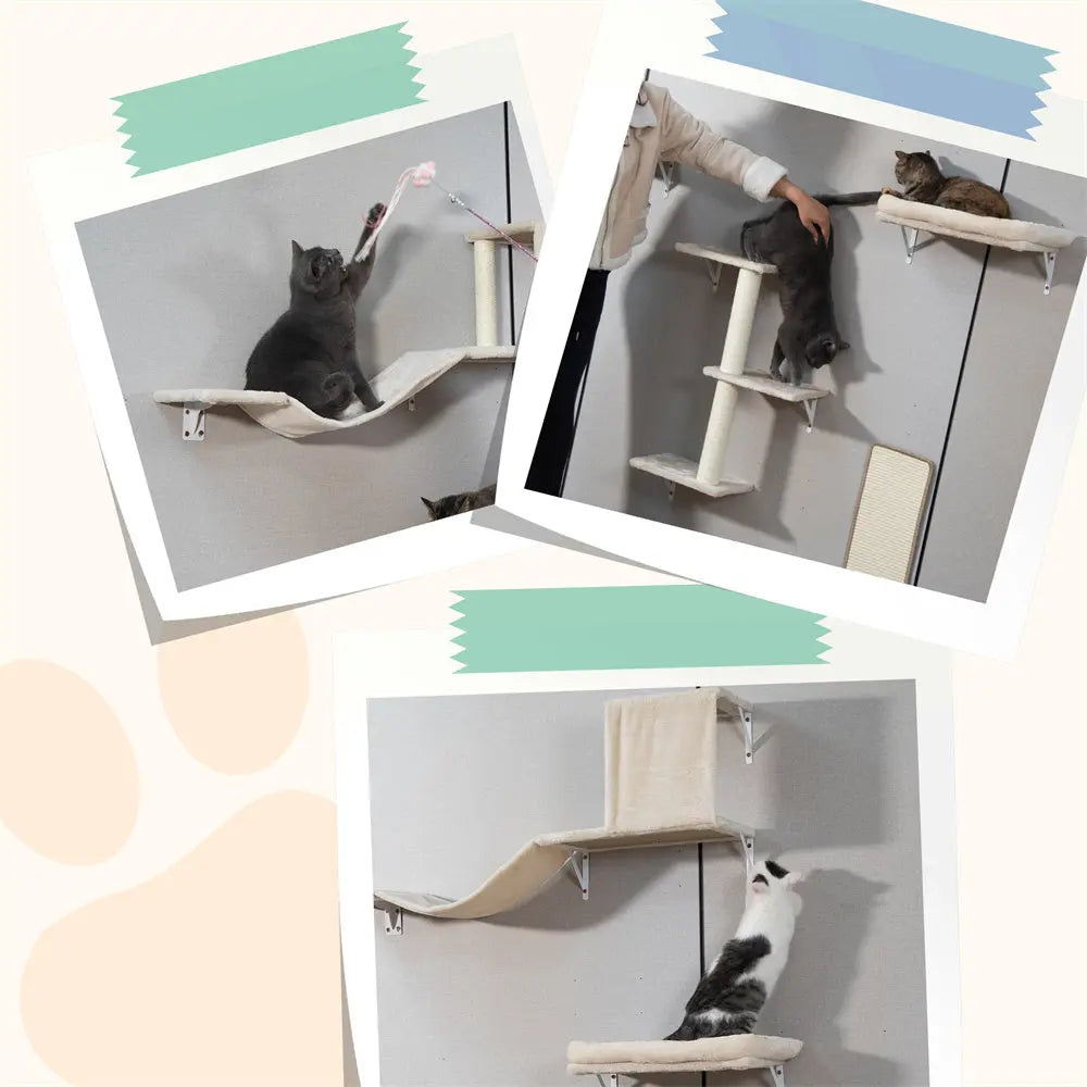 Wall-Mounted Cat Activity Set for Indoor Cats, 5-Piece Climbing Shelves & Perches, Space-Saving Cat Wall Furniture for Jumping, Lounging & Exercise