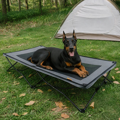 Foldable Elevated Dog Bed for Small, Medium & Large Dogs, Portable Raised Cooling Cot with Breathable Mesh, for Camping, Travel, Indoor & Outdoor Use