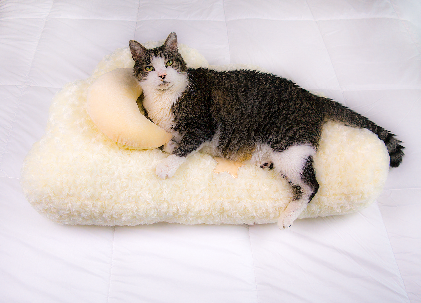 Cloud Shaped Cat Bed for Cats & Small Dogs, Extra Large Soft Plush Pet Bed with Moon Pillow & Star Accents, for Bedrooms & Living Rooms