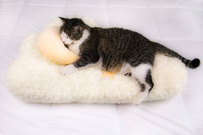 Cloud Shaped Cat Bed for Cats & Small Dogs, Extra Large Soft Plush Pet Bed with Moon Pillow & Star Accents, for Bedrooms & Living Rooms