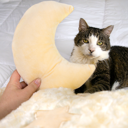 Cloud Shaped Cat Bed for Cats & Small Dogs, Extra Large Soft Plush Pet Bed with Moon Pillow & Star Accents, for Bedrooms & Living Rooms