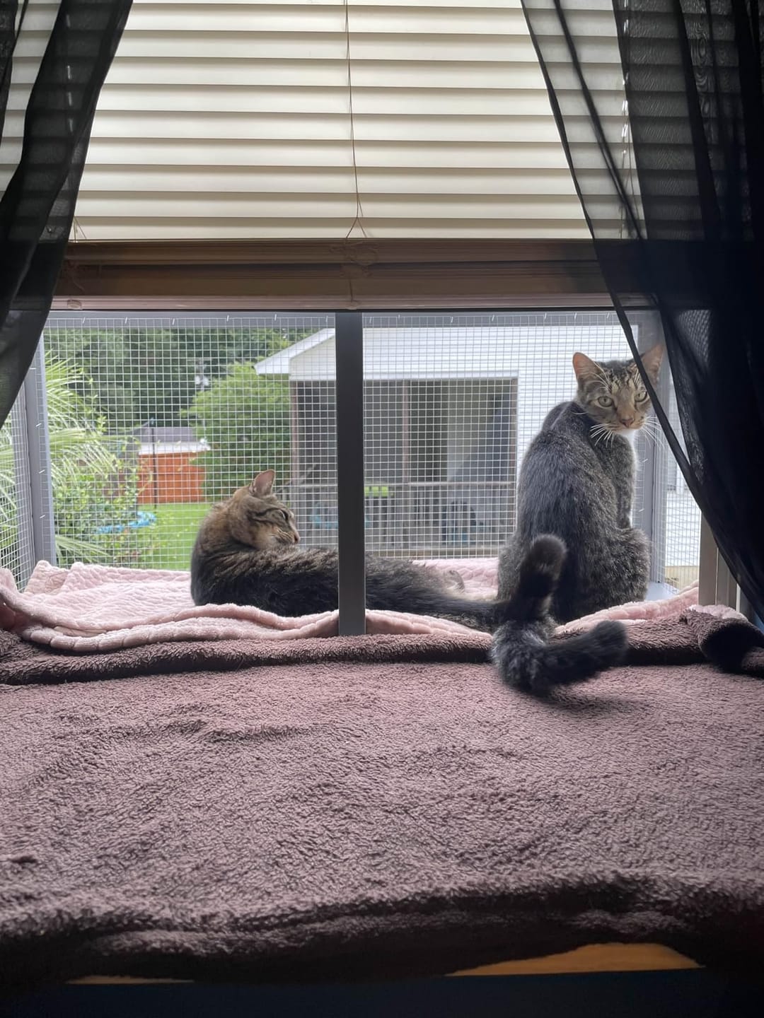 Spacious Wooden Window Cat Catio for Indoor Cats, Weatherproof Outdoor Enclosure Box with Mesh & Tile Roof, for Windows, Patios & Sunbathing