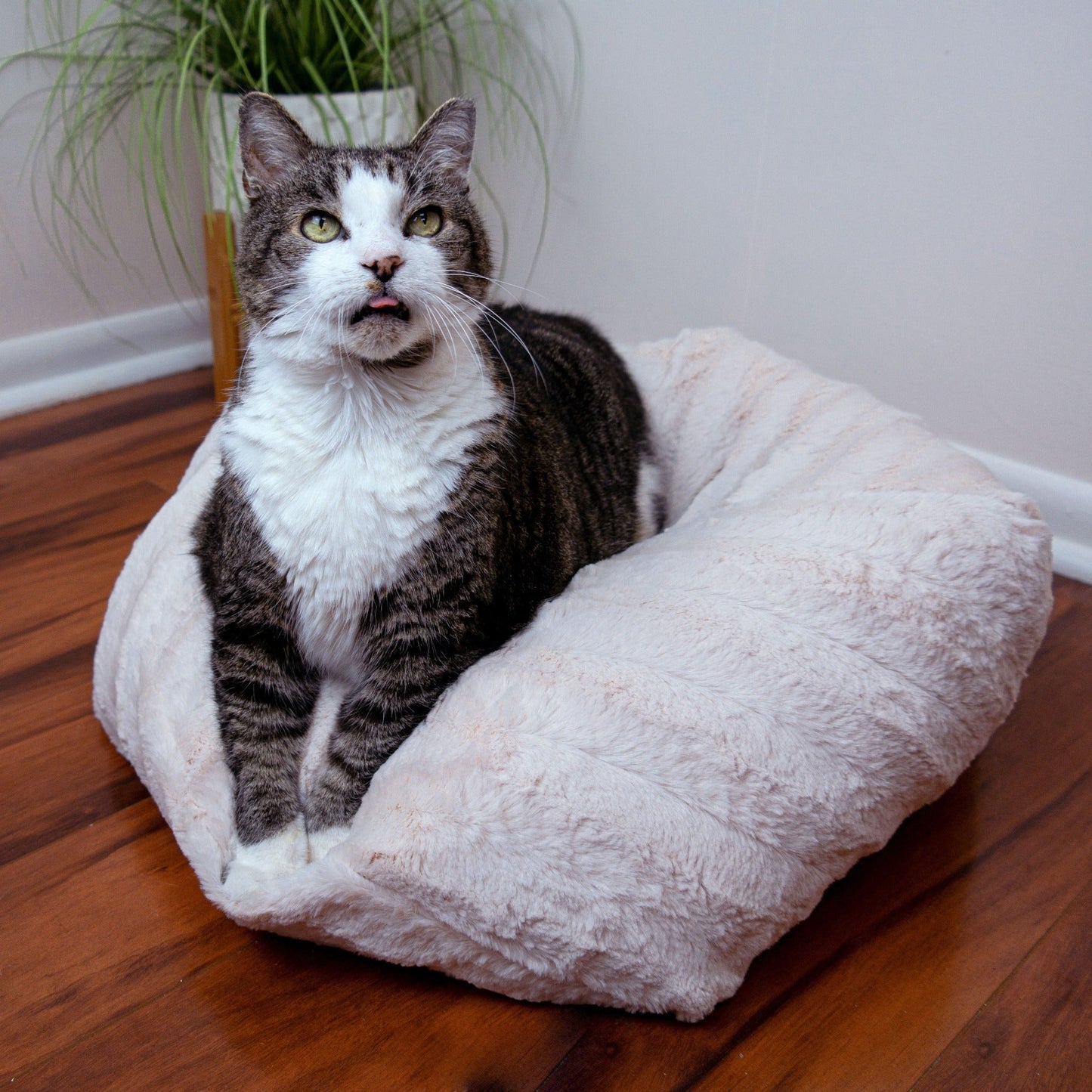 Plush Pouf Cat Bed for Indoor Cats, Ultra Soft Faux Fur Round Pet Bed with Hypoallergenic Fill, Machine Washable, for Napping, Couches & Bedrooms