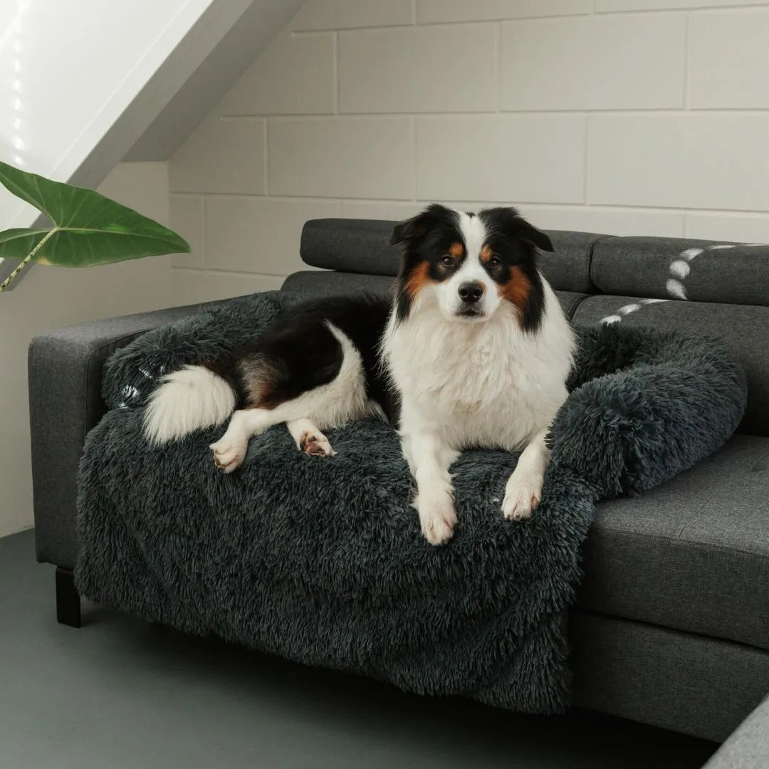 Fluffy Couch Cover for Dogs & Cats, Soft Plush Pet Sofa Protector Blanket, Furniture Cover for Living Rooms, Sofas, Loveseats & Pet Hair Defense