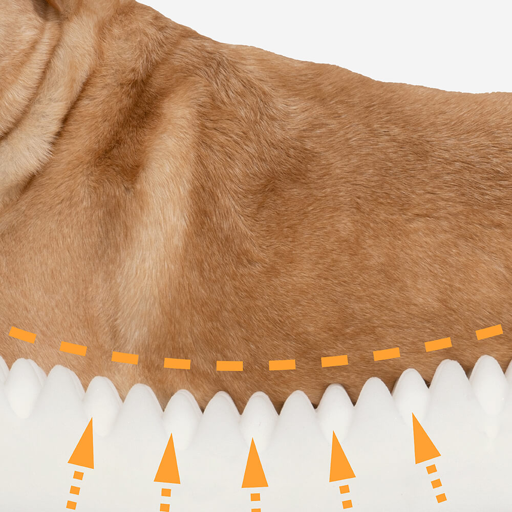Orthopedic Foam Dog Sofa Bed for Small, Medium & Large Dogs, Full Support Bolster Pet Lounger with Pillow Edges, Machine Washable, Non-Slip Bottom