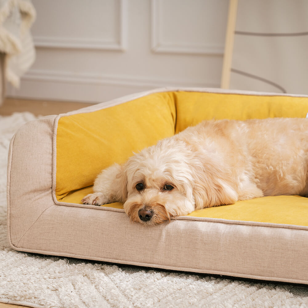 Orthopedic Foam Dog Sofa Bed for Small, Medium & Large Dogs, Full Support Bolster Pet Lounger with Pillow Edges, Machine Washable, Non-Slip Bottom