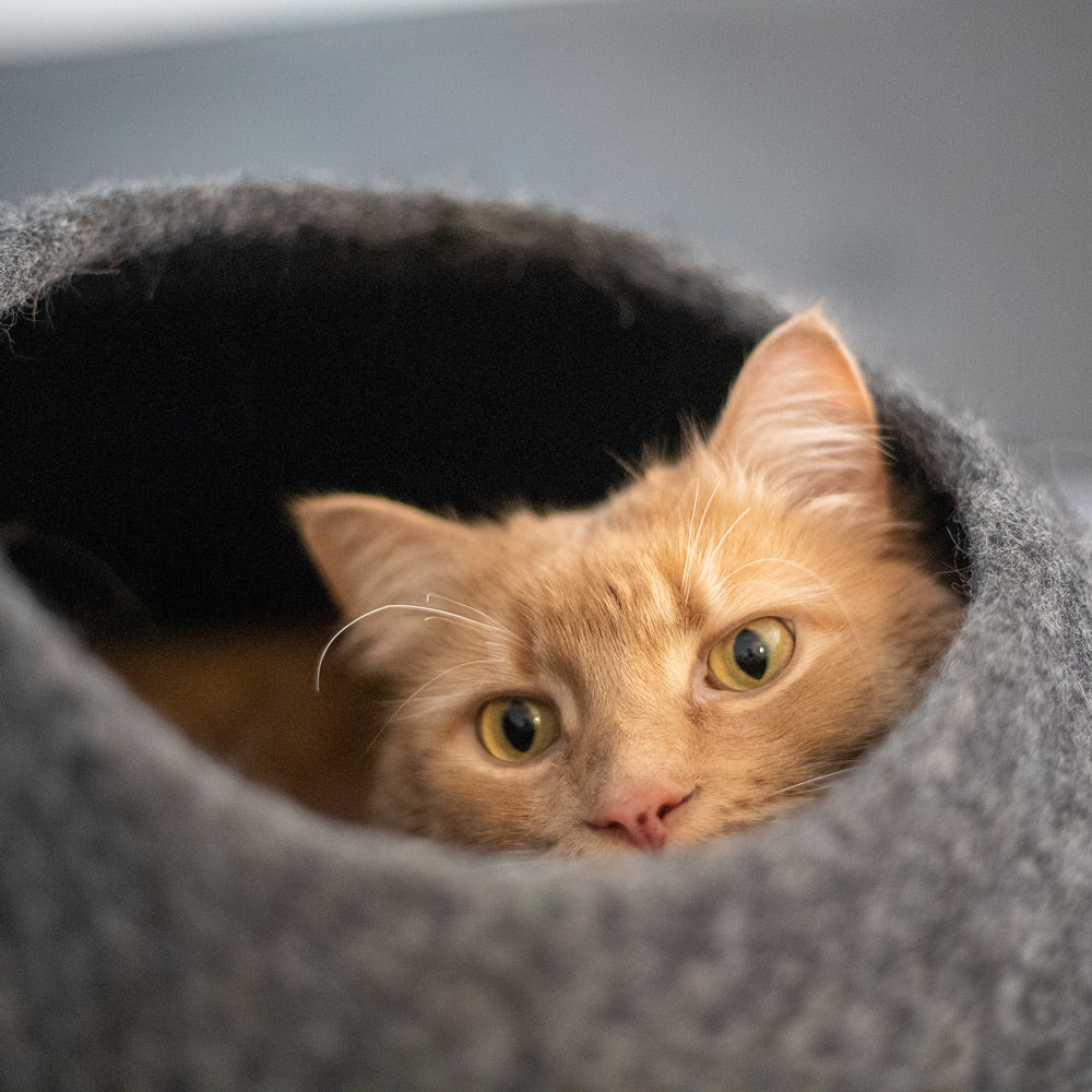 Striped Wool Felt Cat Cave for Indoor Cats & Kittens, Modern Secure Hideout Bed for Hiding & Napping, for Living Rooms, Bedrooms & Minimalist Homes