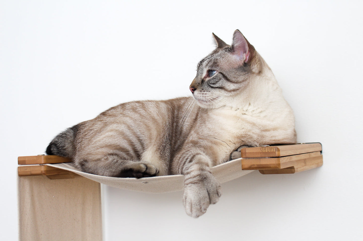 Double Decker Wall-Mounted Cat Hammock Set for Multi-Cat Homes, Two-Level Hanging Bed with Privacy Wall, Canvas Cat Wall Furniture for Climbing & Naps