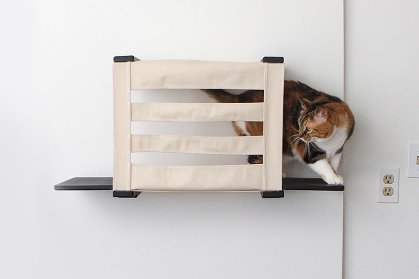 Wall-Mounted Covered Cat Cubby Bed with Side Perches for Indoor Cats, Enclosed Hideaway Cat Wall Furniture for Privacy, Climbing, Lounging & Play