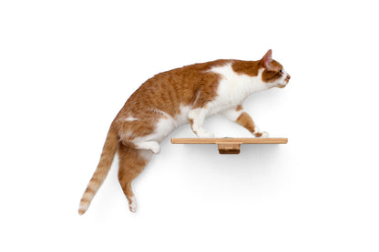 Wall-Mounted Wooden Cat Perch for Indoor Cats, Sturdy Floating Shelf Bed, Space-Saving Cat Wall Furniture for Climbing, Lounging & Room Watching