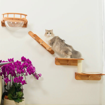 Modular Cat Wall Furniture Set for Small Spaces, Wall Mounted Bubble Perch, Ladder Steps & Scratching Post Shelf, for Indoor Cats & Apartments