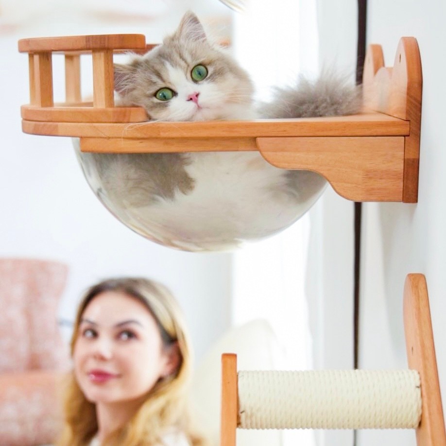 Modular Cat Wall Furniture Set for Small Spaces, Wall Mounted Bubble Perch, Ladder Steps & Scratching Post Shelf, for Indoor Cats & Apartments
