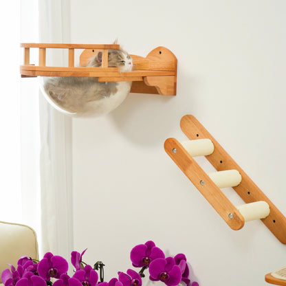Modular Cat Wall Furniture Set for Small Spaces, Wall Mounted Bubble Perch, Ladder Steps & Scratching Post Shelf, for Indoor Cats & Apartments