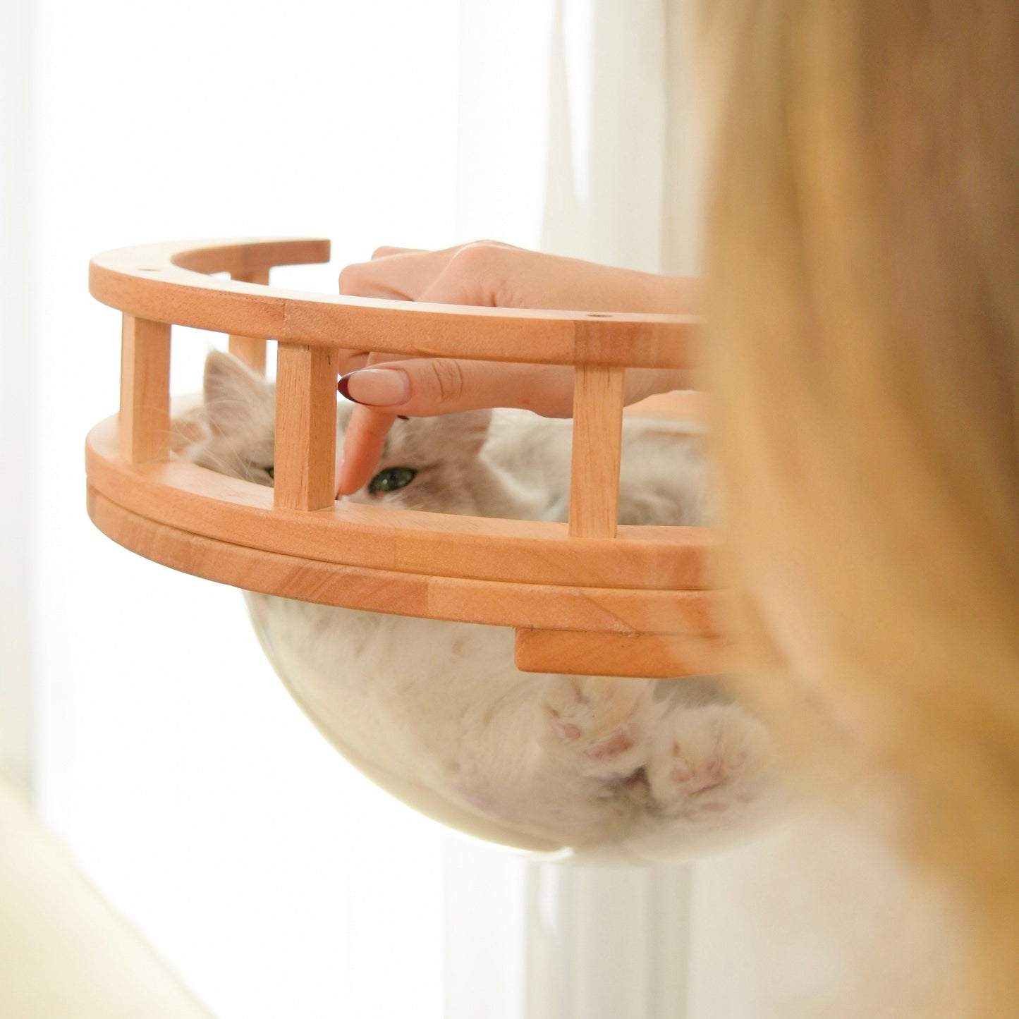 Modular Cat Wall Furniture Set for Small Spaces, Wall Mounted Bubble Perch, Ladder Steps & Scratching Post Shelf, for Indoor Cats & Apartments