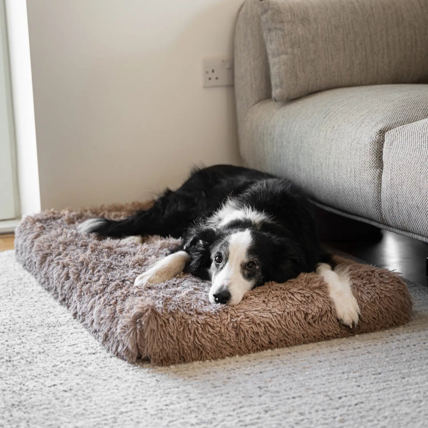 Supportive Orthopedic Pet Pillow for Dogs & Cats, Soft Head & Neck Rest Cushion for Senior Pets & Puppies, for Beds, Crates, Sofas & Sleeping