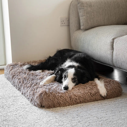 Supportive Orthopedic Pet Pillow for Dogs & Cats, Soft Head & Neck Rest Cushion for Senior Pets & Puppies, for Beds, Crates, Sofas & Sleeping