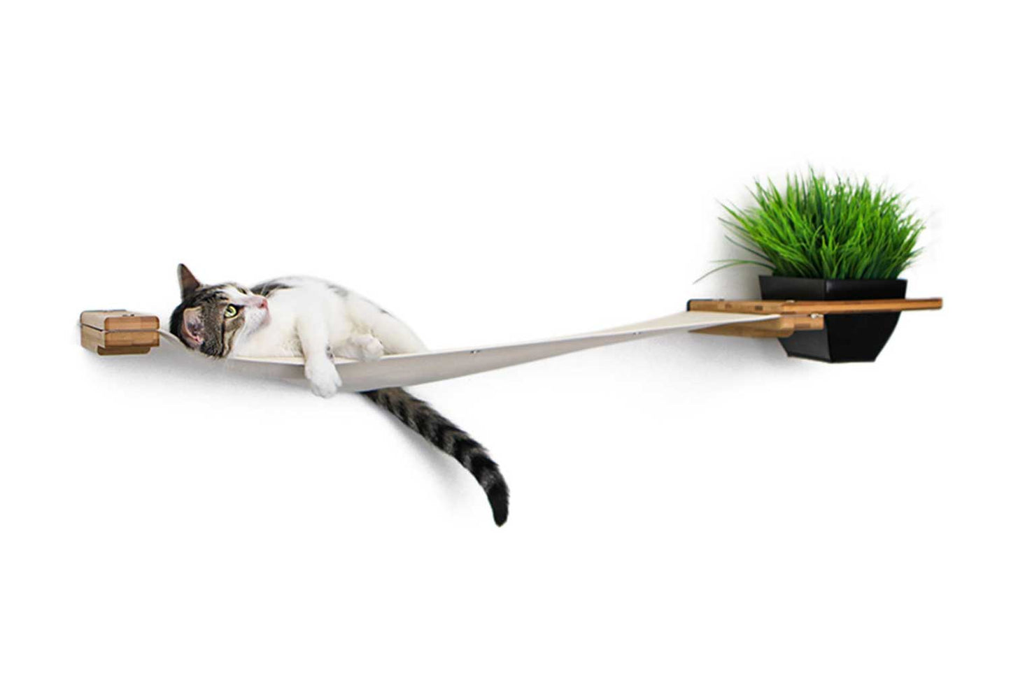 Wall-Mounted Cat Hammock with Planter for Indoor Cats, Hanging Lounge Bed for Cat Grass & Greenery, Stud-Mount Wall Furniture for Napping & Foraging