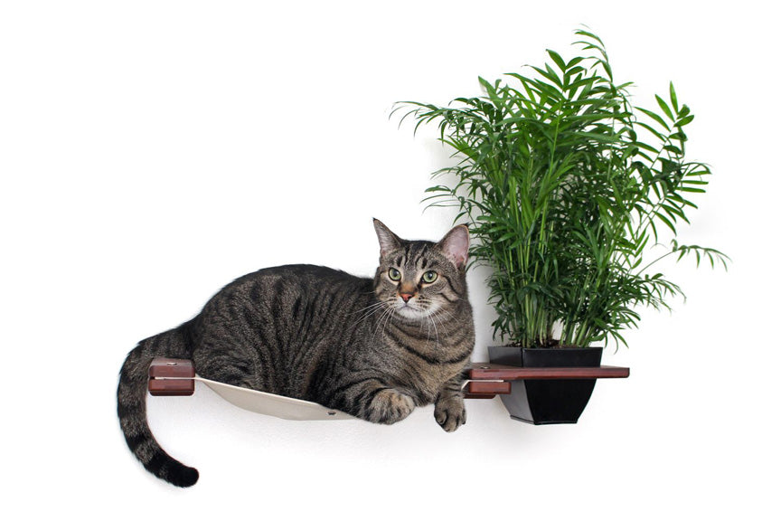 Wall-Mounted Cat Hammock with Planter for Indoor Cats, Hanging Lounge Bed for Cat Grass & Greenery, Stud-Mount Wall Furniture for Napping & Foraging