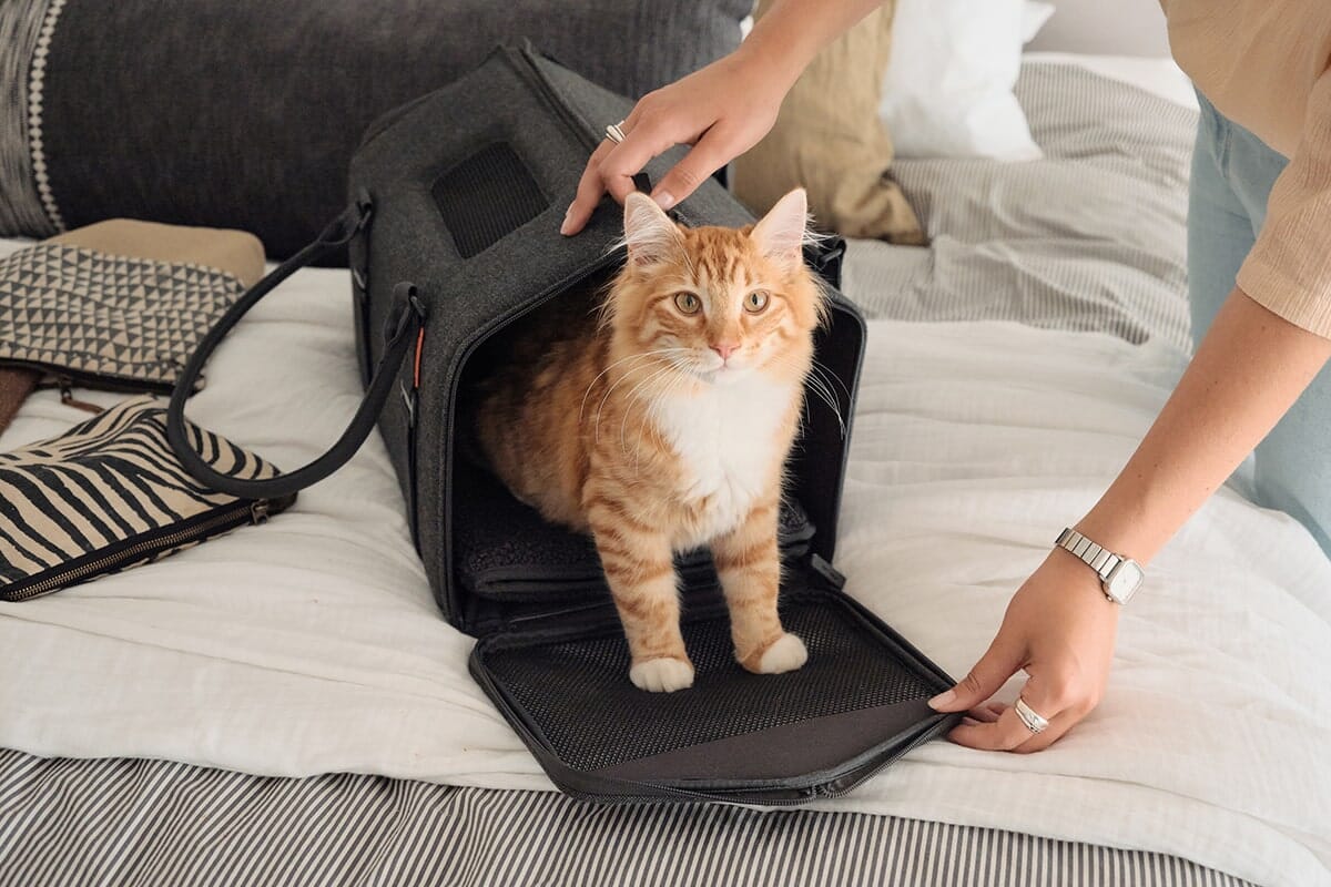 Convertible Airline-Approved Cat Carrier, Water-Resistant Soft Travel Bag with Mesh Panels & Shearling Bedding, Turns into a Cozy Cat Hideaway