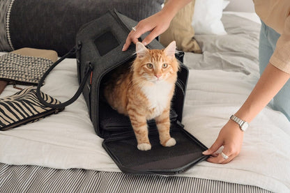 Convertible Airline-Approved Cat Carrier, Water-Resistant Soft Travel Bag with Mesh Panels & Shearling Bedding, Turns into a Cozy Cat Hideaway