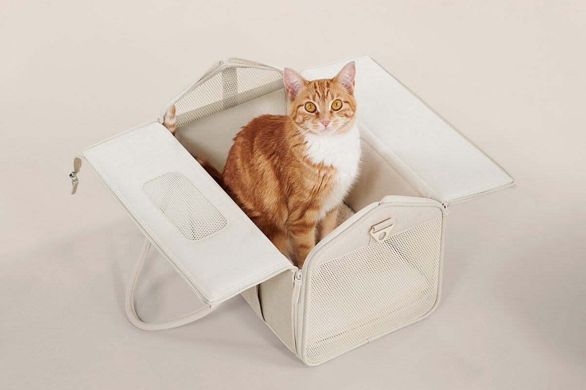 Convertible Airline-Approved Cat Carrier, Water-Resistant Soft Travel Bag with Mesh Panels & Shearling Bedding, Turns into a Cozy Cat Hideaway