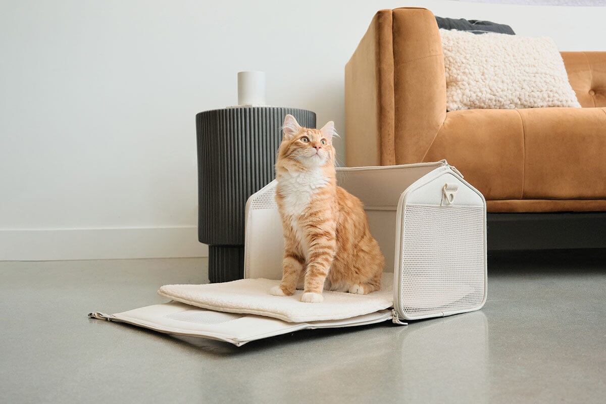 Convertible Airline-Approved Cat Carrier, Water-Resistant Soft Travel Bag with Mesh Panels & Shearling Bedding, Turns into a Cozy Cat Hideaway