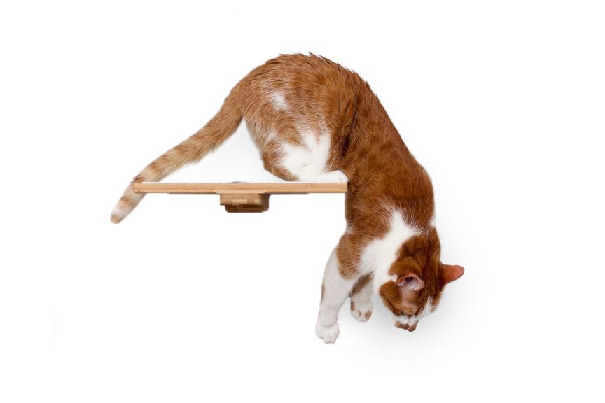 Wall-Mounted Wooden Cat Perch for Indoor Cats, Sturdy Floating Shelf Bed, Space-Saving Cat Wall Furniture for Climbing, Lounging & Room Watching