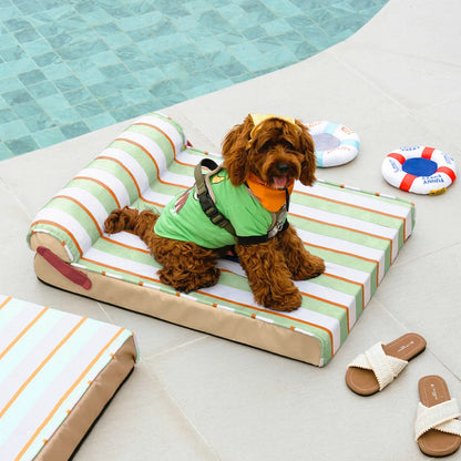 Cooling Orthopedic Dog Bed for Small, Medium & Large Dogs, Memory Foam Crate Mat with Cool-Touch Fabric, Water-Resistant, Machine Washable, for Summer