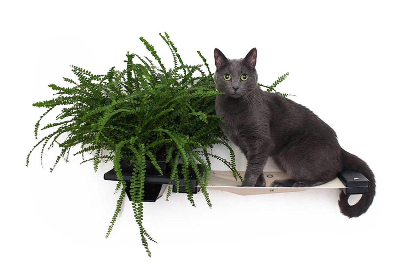 Wall-Mounted Cat Hammock with Planter for Indoor Cats, Hanging Lounge Bed for Cat Grass & Greenery, Stud-Mount Wall Furniture for Napping & Foraging
