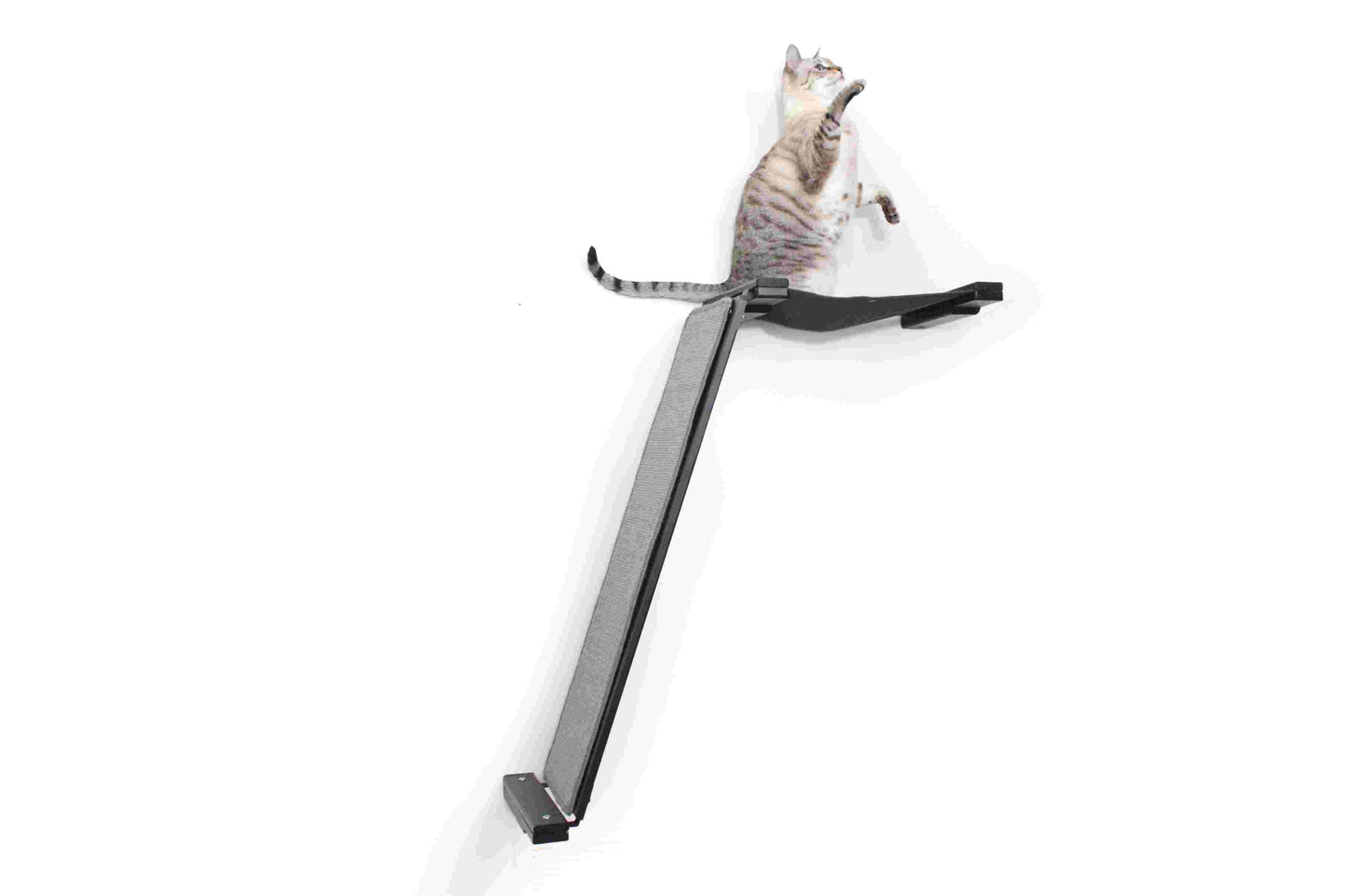 Wall-Mounted Angled Cat Scratcher Lounge for Indoor Cats, Climbing Ramp with Elevated Resting Bed, Dog-Proof Perch for Scratching, Play & Lounging